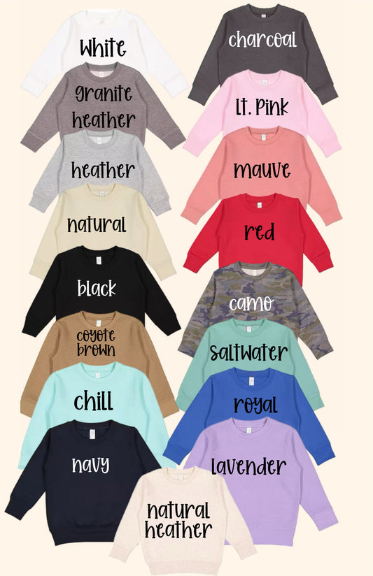 toddler embroidered sweatshirt